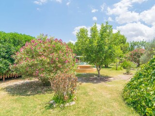Villa Santa Margalida Grabación al aire libre 29