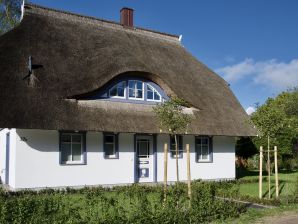 Ferienhaus Meerblau - Born - image1