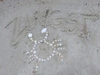 Strandkrabbe Zingst :)