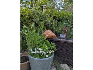 Holiday house Damp Outdoor Recording 10