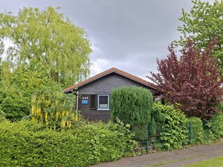 Holiday house Damp Outdoor Recording 11