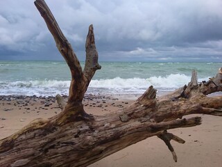 Strandwandern