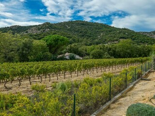 Villa Le Plan-de-la-Tour Registrazione all'aperto 8