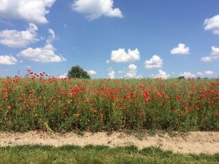 naturnahe Landschaft