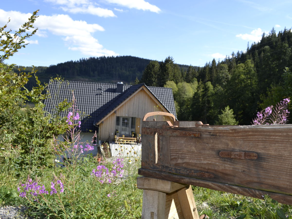 Vakantieappartement Hinterzarten Buitenaudio-opname 1