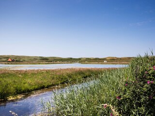 Vakantiehuis Callantsoog Omgeving 55