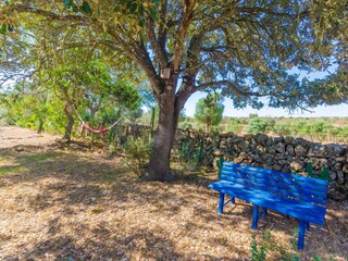 Villa Santa Margalida Grabación al aire libre 33