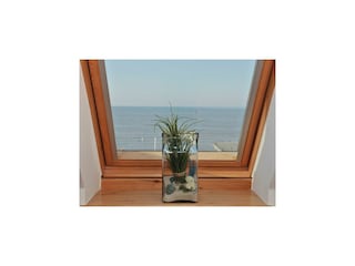 Appartamento per vacanze Wangerooge Registrazione all'aperto 6