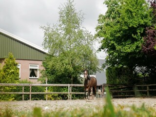 Appartement Eibergen Environnement 29