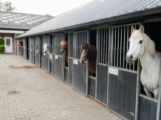 Appartamento Eibergen Ambiente 27