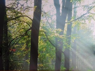 Appartement Eibergen Omgeving 33