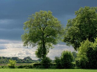 Apartamento Eibergen Entorno 29