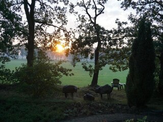 Apartamento Eibergen Entorno 29