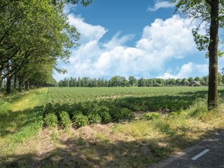 Appartement Eibergen Omgeving 33