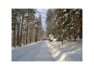 Appartamento per vacanze Lindberg Ambiente 18