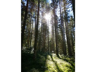 Apartamento de vacaciones Lindberg Entorno 19