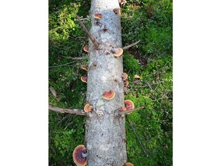 Apartamento de vacaciones Lindberg Entorno 21