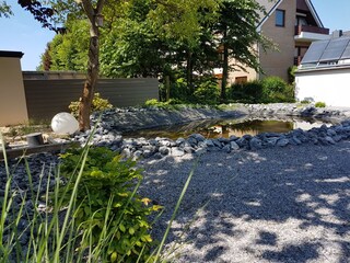 Blick in den Garten