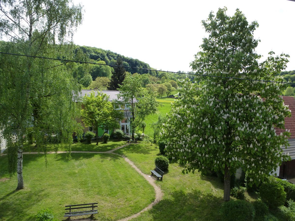 Ausblick vom Dachgeschoss auf die Grünfläche im Süden