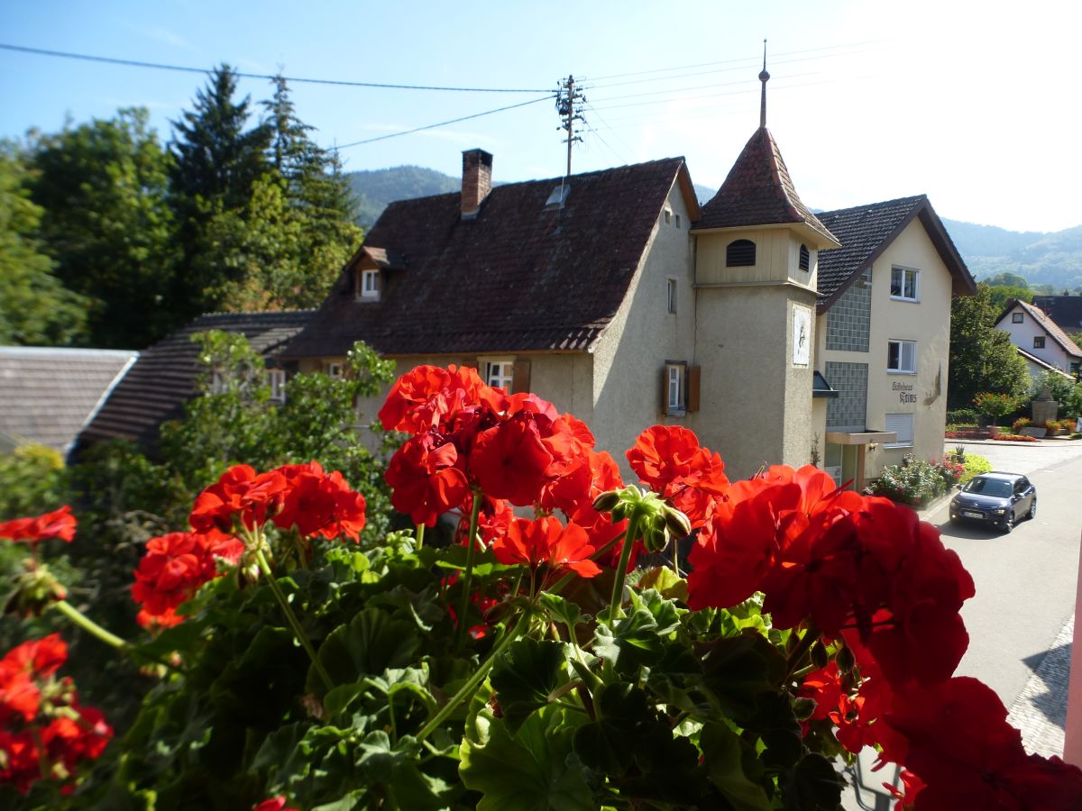 Blick auf das Lipburger "Türmle" und den Blauen