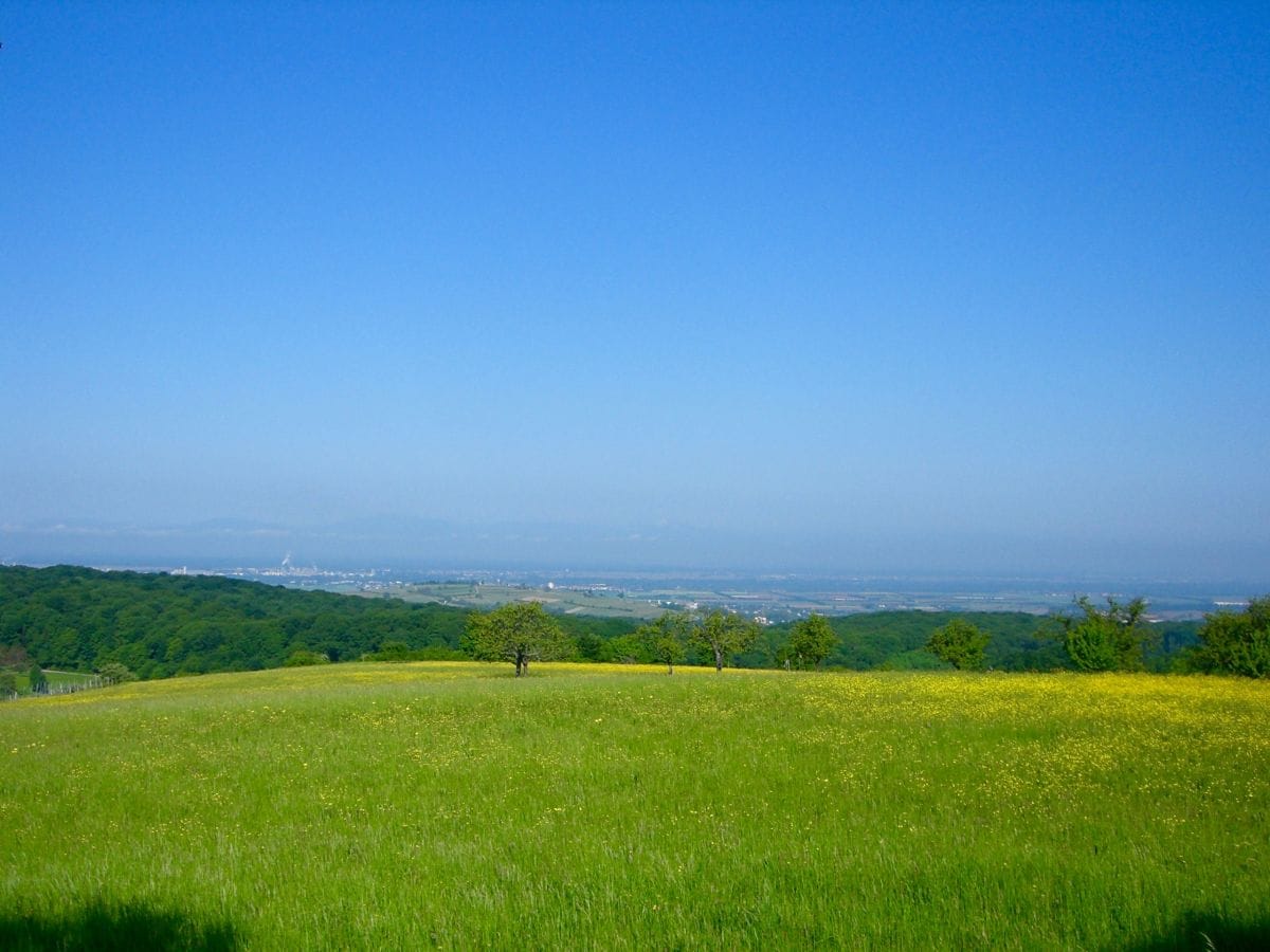 Blick vom Lipberg in die Rheinebene bis Frankreich