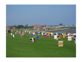 der Strand