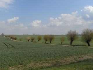 Spring lets its green ribbon...