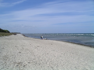 Summer, sun, beach and sea!