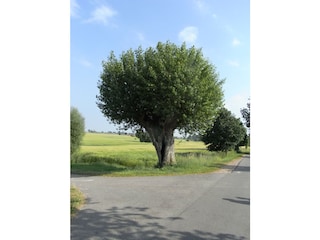 Holiday house Kaltenhof Environment 27