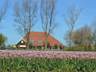 Camping De Tulpenweide