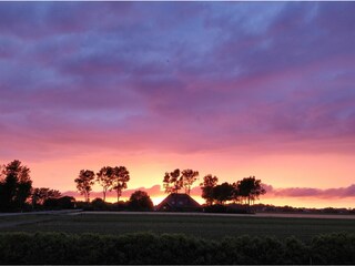 Camping De Tulpenweide