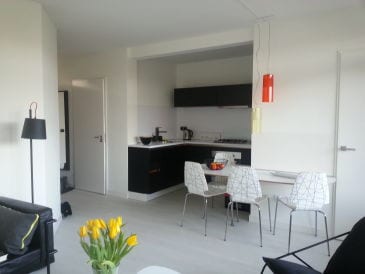 Ferienwohnung Beach Loft De Duinpan 2