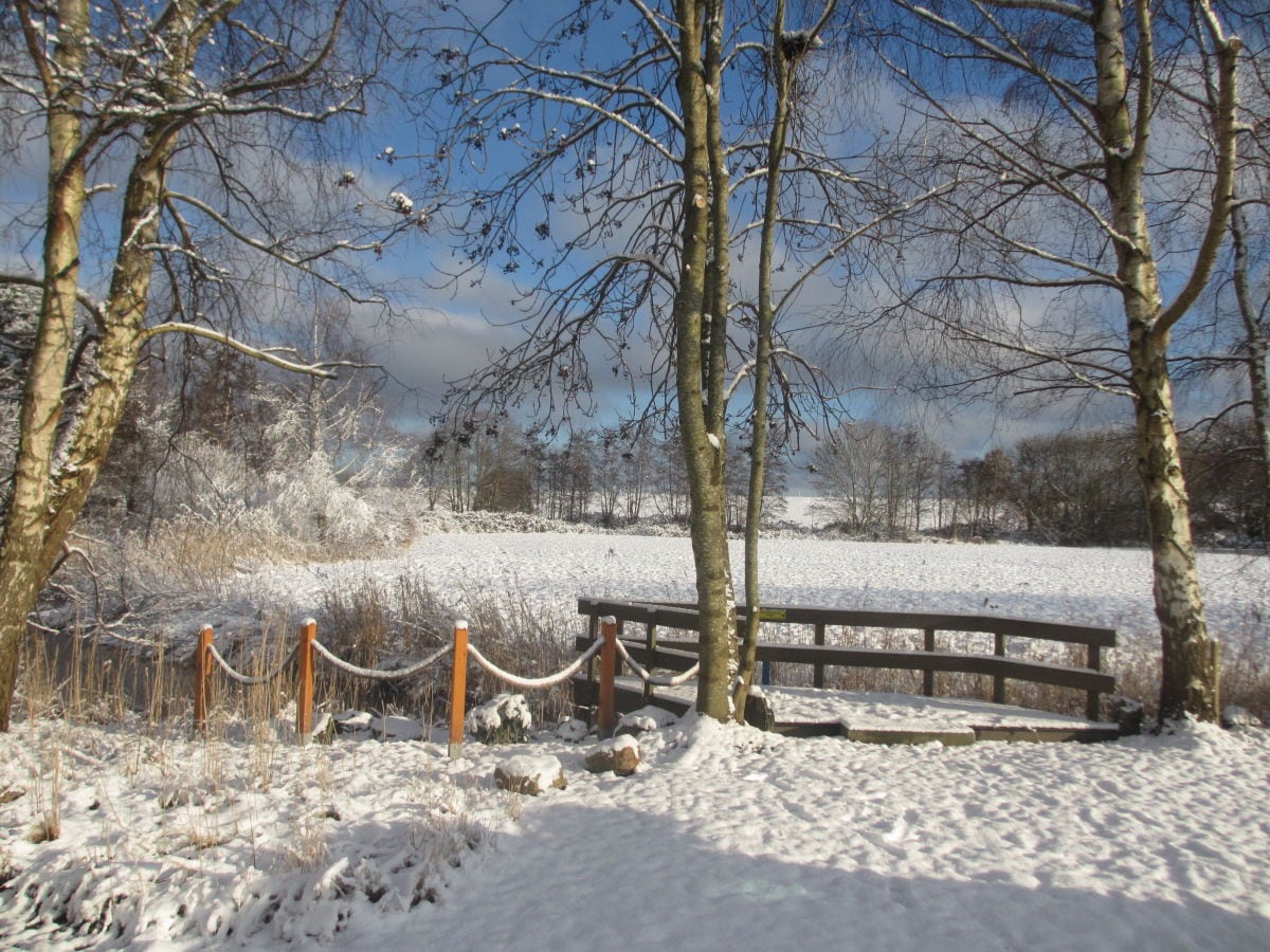 Winter auf dem Steg