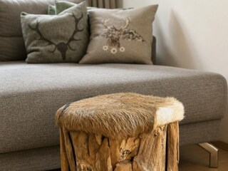Appartement Kirchdorf in Tirol Kenmerken 15