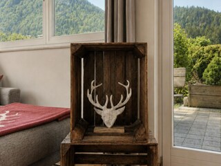 Appartement Kirchdorf in Tirol  50
