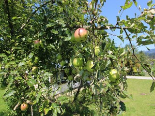 Casa per le vacanze St. Johann in Tirol Registrazione all'aperto 6