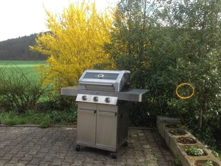 Casa per le vacanze Edertal Registrazione all'aperto 9