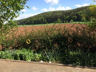 Casa per le vacanze Edertal Registrazione all'aperto 8