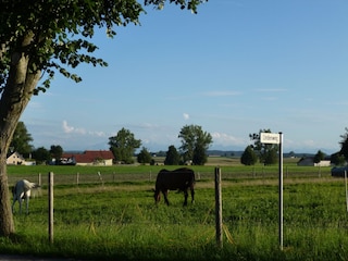 Blick über den Gartenzaun