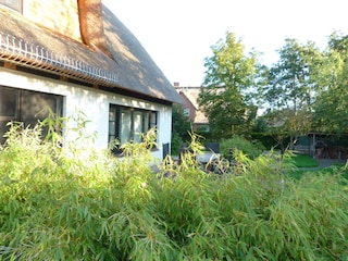 Abendsonne