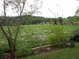 Maison de vacances Edertal Enregistrement extérieur 8