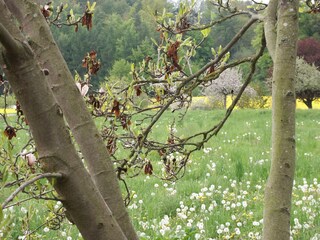 Casa per le vacanze Edertal Registrazione all'aperto 11