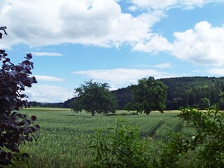 Maison de vacances Edertal Enregistrement extérieur 13
