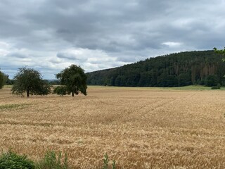 Appartamento per vacanze Edertal Registrazione all'aperto 9