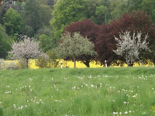 Appartamento per vacanze Edertal Registrazione all'aperto 7