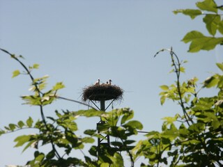 Appartamento per vacanze Edertal Ambiente 19