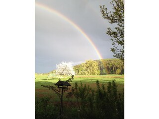 Appartamento per vacanze Edertal Registrazione all'aperto 10