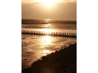 Wattenmeer