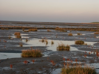 Wattenmeer