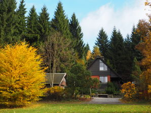 Ferienhaus Abendrot - Rechenberg-Bienenmühle - image1